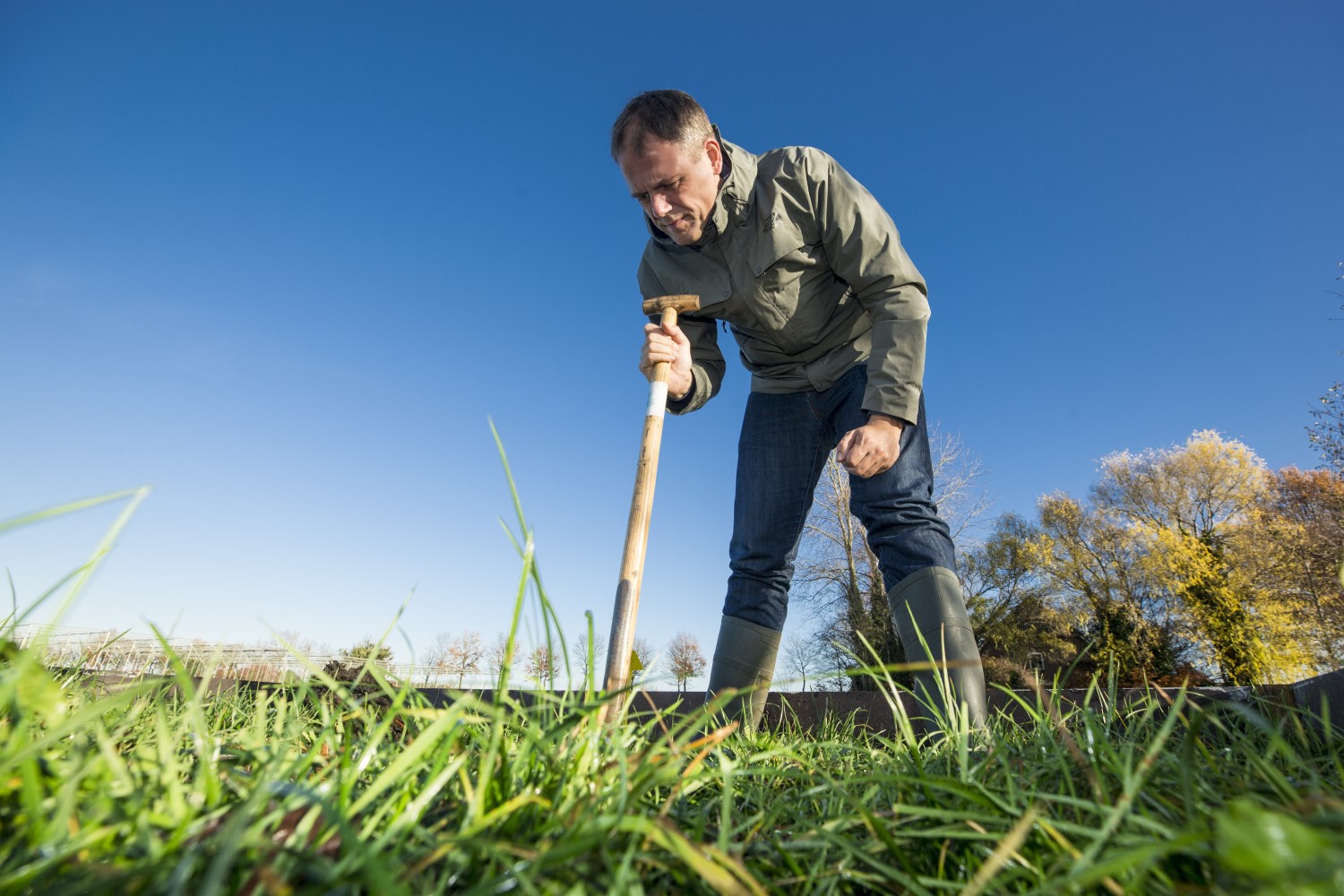 Prestigious Medal For Soil Research Awarded To WUR's 'earthworm ...